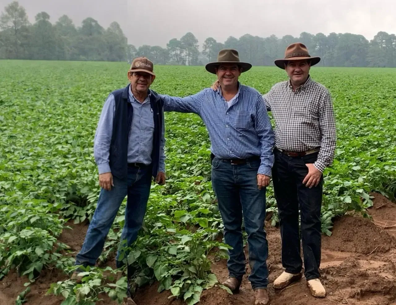 Cultivo en las tierras altas